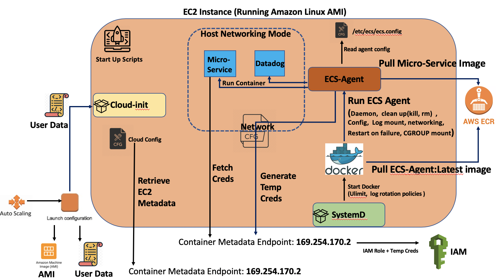 AWS ECS Optimzied AMI X Ray